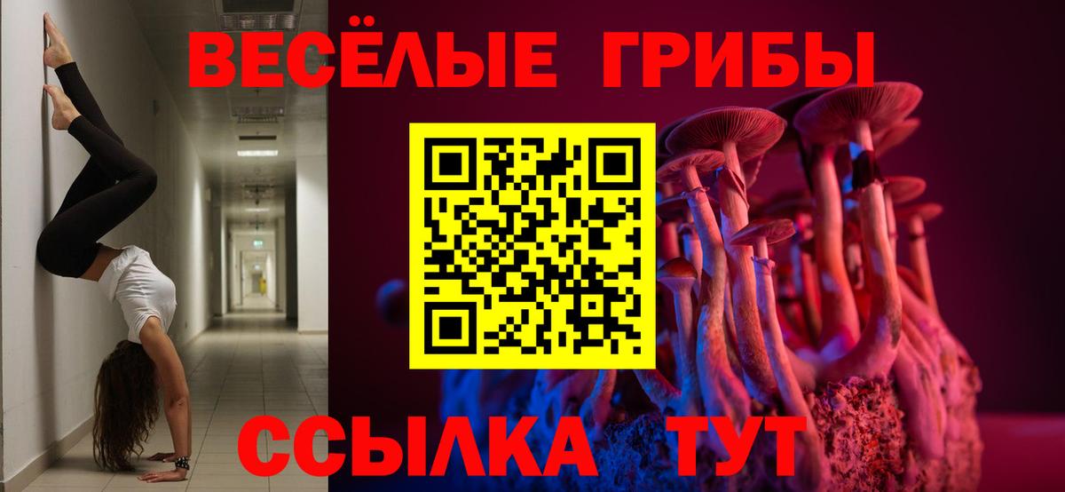 Корсаков  Псилоцибиновые грибы GOLDEN TEACHER  Вход с VPN 